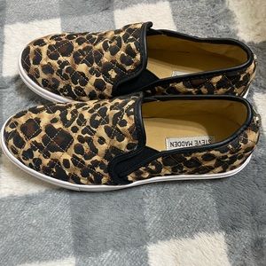womens cheetah steve madden shoes